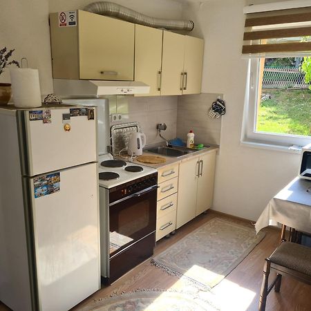 Apartmani Podvisoki 维索科 外观 照片