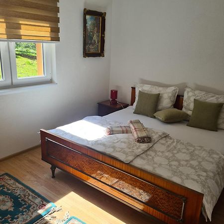 Apartmani Podvisoki 维索科 外观 照片